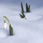 Sonntagsspaziergang mit Einkehrmöglichkeit