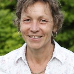 Quantenmedizin - Bewußtsein als Heilmittel